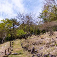 木製の階段が続く上り坂の散策コースの写真