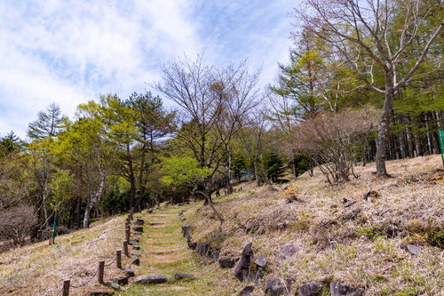 木製の階段が続く上り坂の散策コース