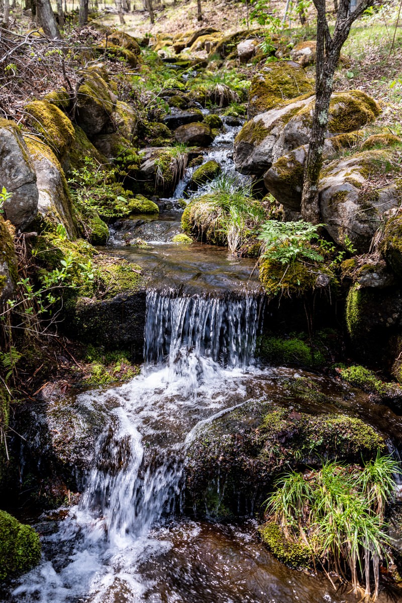 緑の苔に覆われた岩の間を流れる清らかな小川と小さな滝