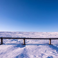 雲一つない青空と雪原に続く木製の柵の写真