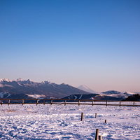 大雪原の先に見える雪化粧した富士山の冬景色の写真