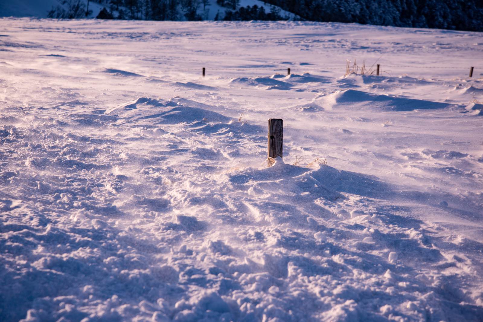 雪原に埋もれながらも頭を出している複数の杭