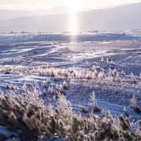 冬の美ヶ原高原に現れるサンピラー（太陽柱）と樹氷の写真