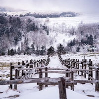 雪が積もった牛伏山山頂の木道と遠景の写真