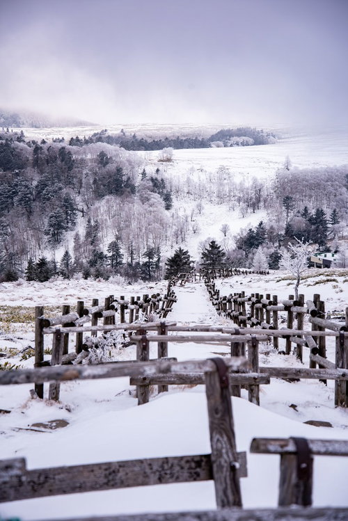 雪が積もった牛伏山山頂の木道と遠景