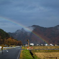 雨上がりの田んぼに架かる虹と山々の田舎風景の写真