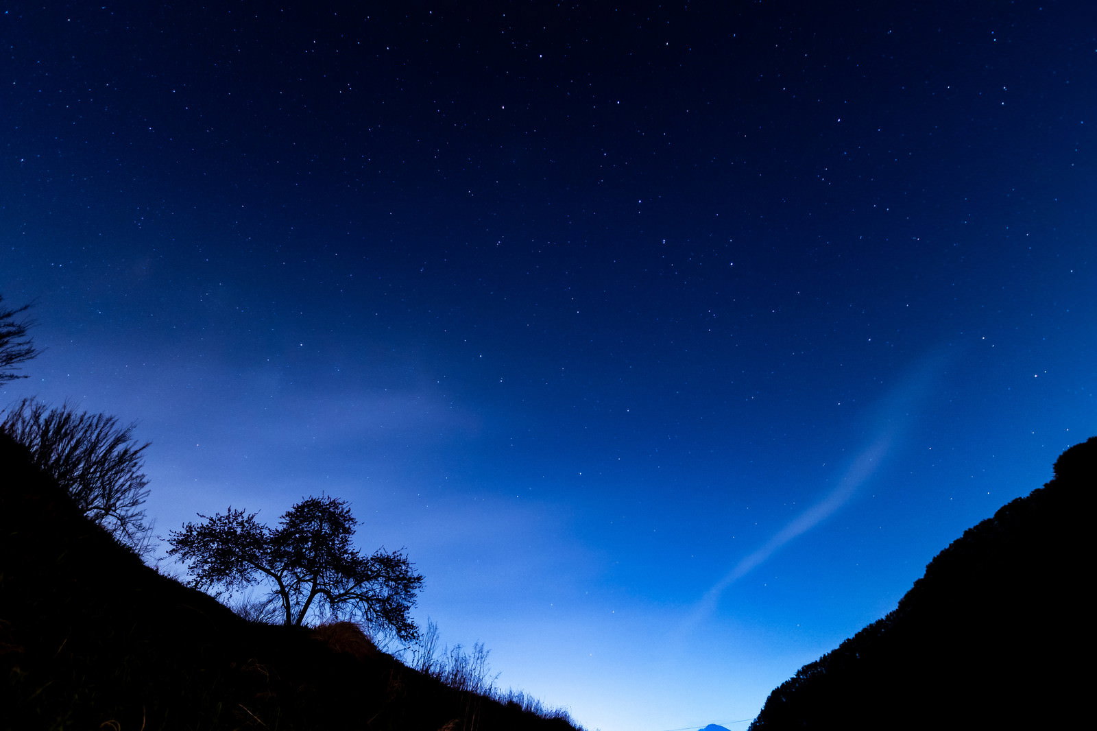夜空と木々のシルエットと星・流れ星