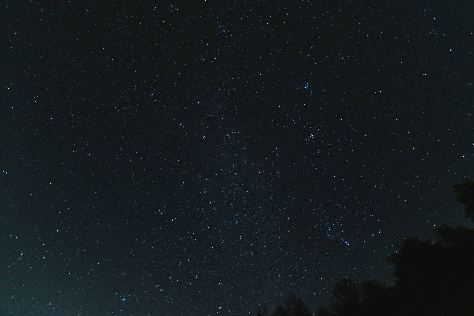 巣栗渓谷の夜空に輝く無数の星が見える星空の風景