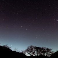 巣栗渓谷から見た夜空の北斗七星とシルエットの木々の写真