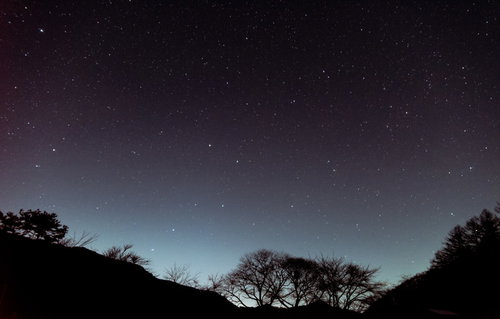 巣栗渓谷から見た夜空の北斗七星とシルエットの木々