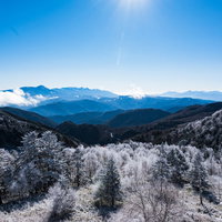 冬の樹氷が雪化粧する美ヶ原の遠景の写真
