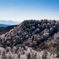 美ヶ原から見る樹氷と雪化粧の山々 冬の絶景の写真