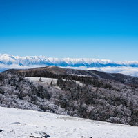 美ヶ原台上の雪景色に立ち並ぶ樹氷と雪化粧した山々の写真