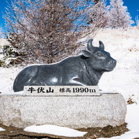 牛伏山頂上付近にある牛像の案内（美ヶ原）の写真