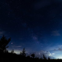 星空の下でライトアップされた夜桜の写真
