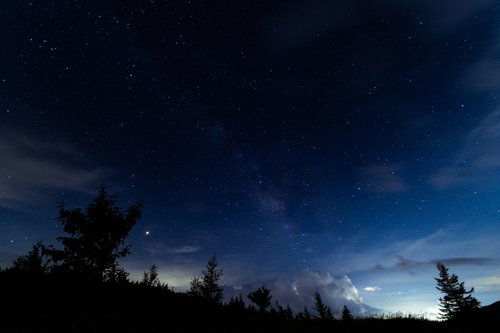星空の下でライトアップされた夜桜