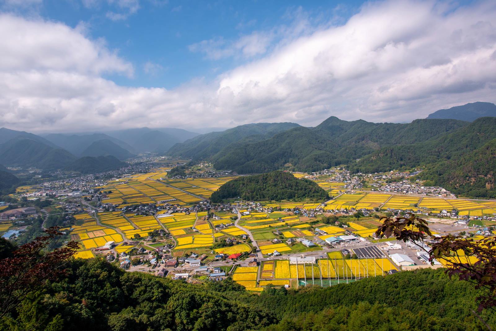 An aerial view of the golden-colored rice fields and settlements in the mountainous area of Shinshu Takayu