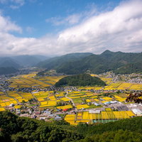 信州武石の山間に広がる俯瞰図と実りを向かえた田園風景の写真