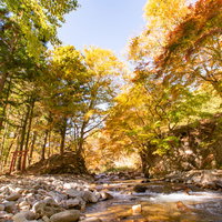 清流が流れる川原と両岸の紅葉、秋の自然風景の写真