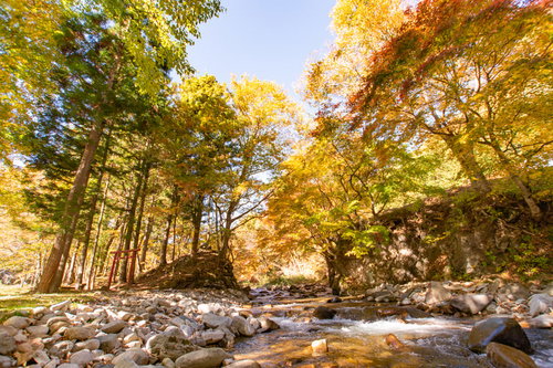 清流が流れる川原と両岸の紅葉、秋の自然風景