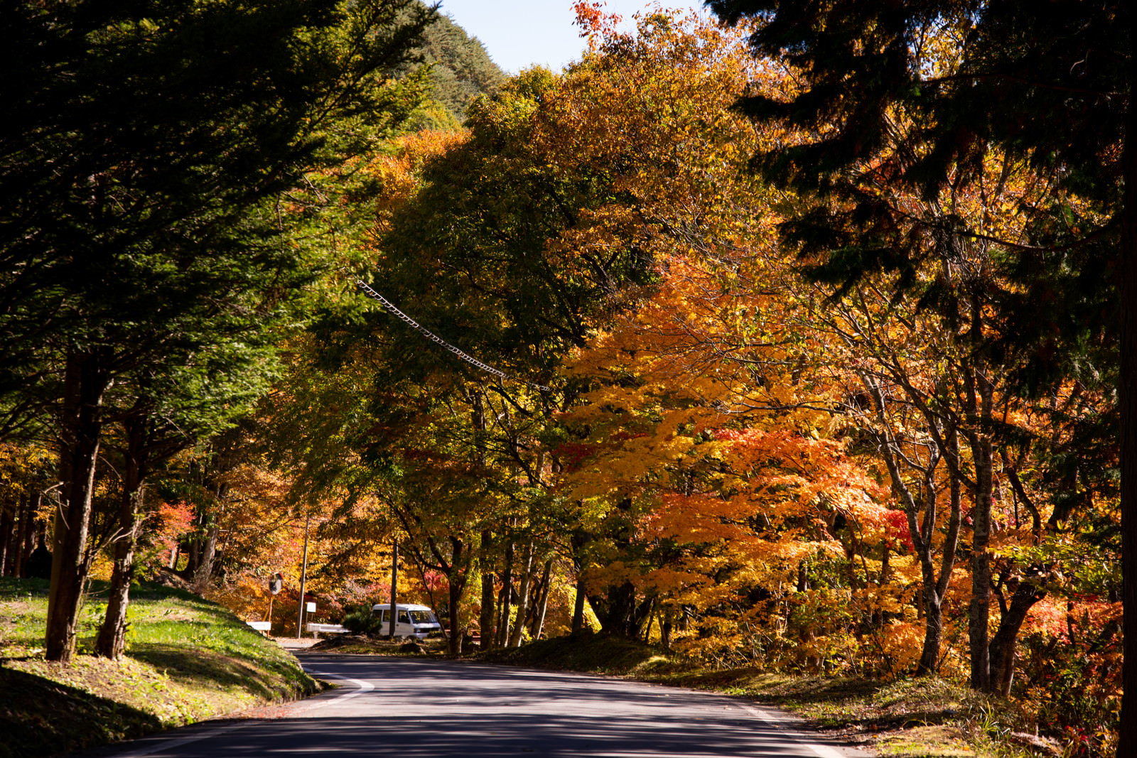 道路沿いに色鮮やかな紅葉が広がるもみじ橋の秋景色