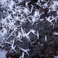 地表の水分が凍った霜柱の氷結晶 冬の朝に形成される自然現象の写真