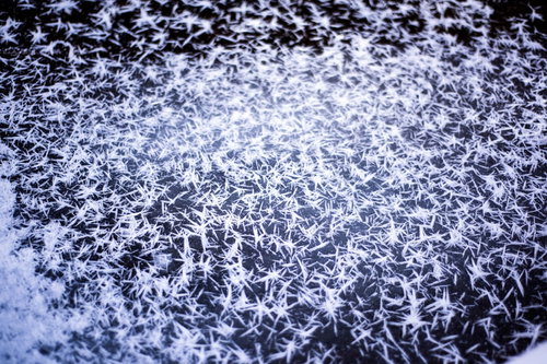 刺々しく立ち並ぶ霜柱の結晶