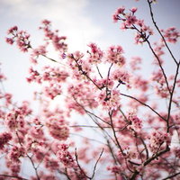 駅構内の錆びたガードレールと通過する電車の屋根の写真