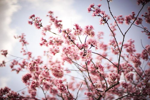 駅構内の錆びたガードレールと通過する電車の屋根