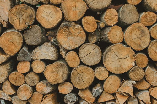 香ばしく焼き上げた豚肉の生姜焼き