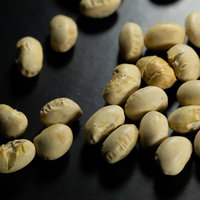 節分の福豆、煎り大豆、高タンパク質の健康食品の写真