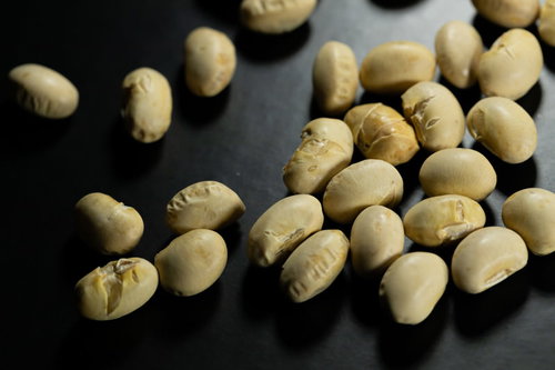 節分の福豆、煎り大豆、高タンパク質の健康食品