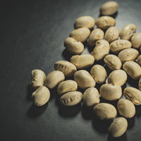 良質なタンパク質を含む大豆と節分の豆まき用豆の写真