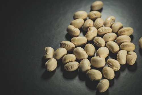 良質なタンパク質を含む大豆と節分の豆まき用豆