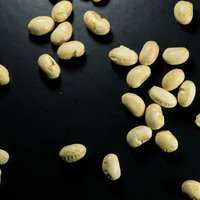 黒い背景に散らかる淡い黄色の大豆：節分豆まき用の写真