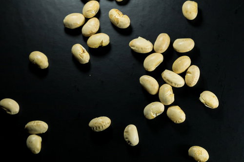 黒い背景に散らかる淡い黄色の大豆：節分豆まき用