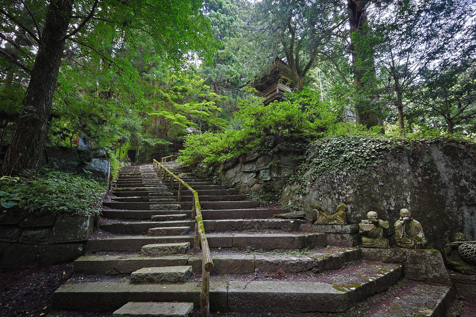 苔むした石段と樹木に囲まれた東堂山満福寺の鐘楼参道。両側に石垣と石像がある