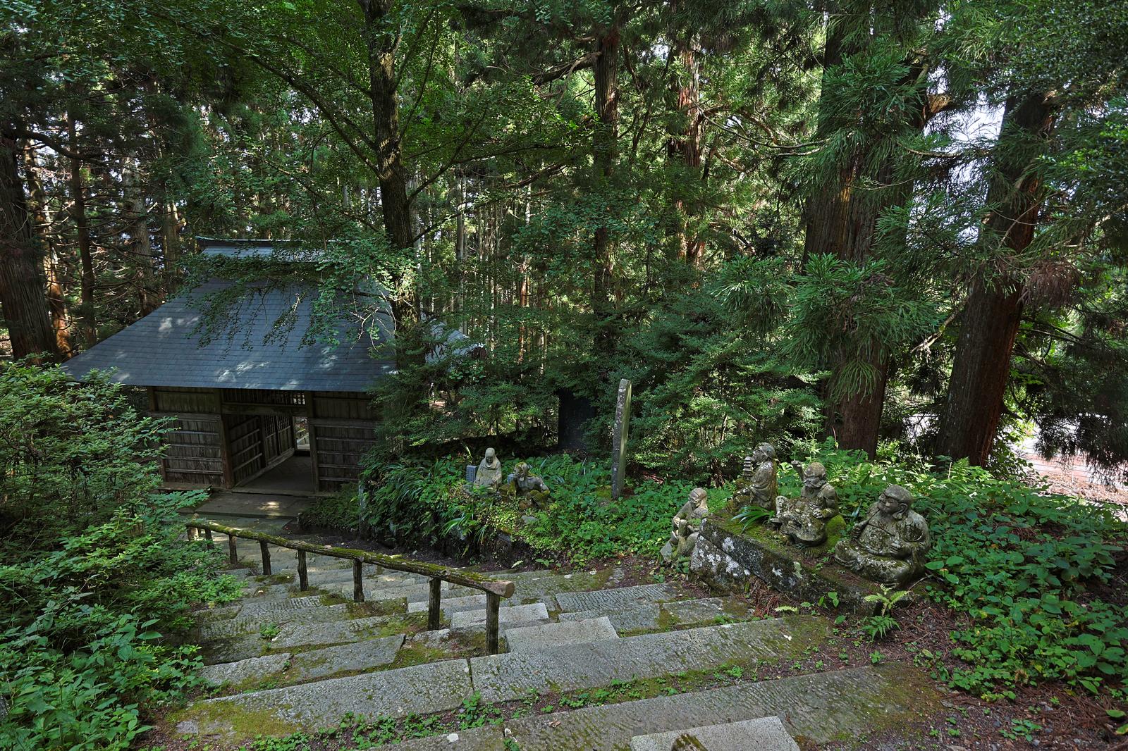 杉並木に囲まれた石段が続く東堂山満福寺の参道
