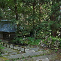 東堂山満福寺の石段と杉並木、参道の石造仏像の写真