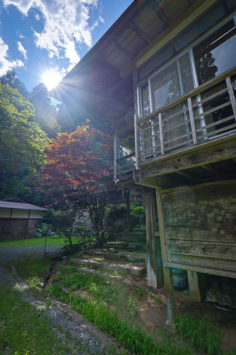 晴天の日差しが降り注ぐ古い木造寺院の境内に樹木や建物が見える
