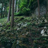 東堂山満福寺の境内に並ぶ苔むしたお地蔵様の写真
