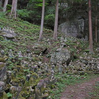 東堂山満福寺の苔むした地蔵群と樹林の静寂の写真