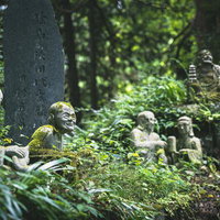 東堂山満福寺の参道に鎮座する緑に包まれた石像群の写真