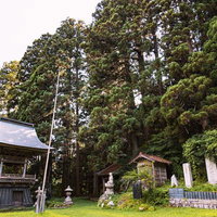 小野町の東堂山満福寺の緑に囲まれた杉林の中の境内の写真