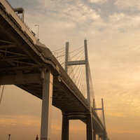 夜の繁華街に連なるネオンと渋滞の写真