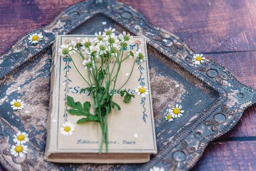 白い小花のマトリカリアが添えられた古い洋書