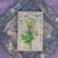 古い洋書に添えられたマトリカリアの白い花の写真