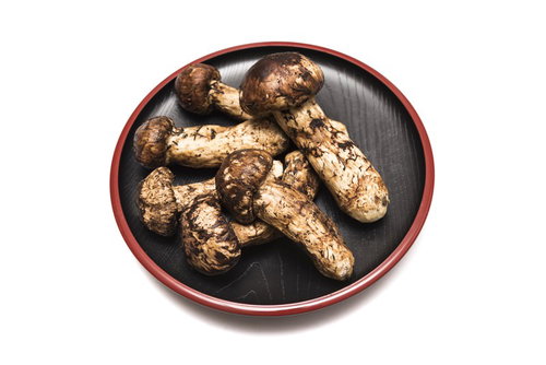 秋の味覚「まつたけ」