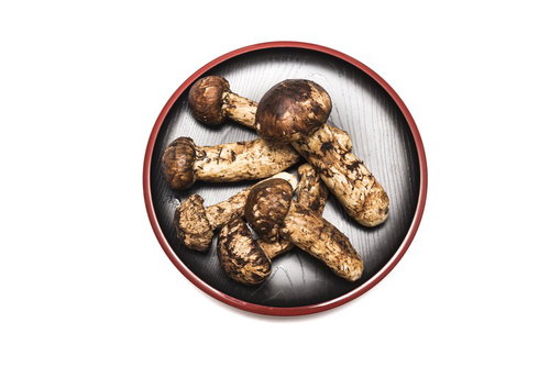 お盆に乗った松茸5本