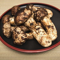 松茸が乗せられた木目調のお盆に並べられた6本の写真